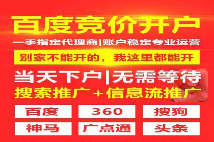 成功案例分享：SEM托管服务助力企业提升竞争力